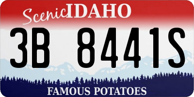 ID license plate 3B8441S