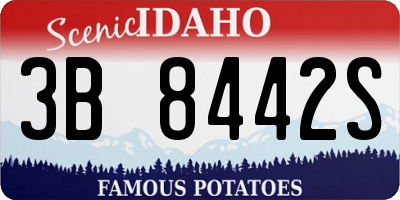 ID license plate 3B8442S