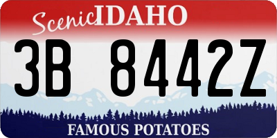 ID license plate 3B8442Z