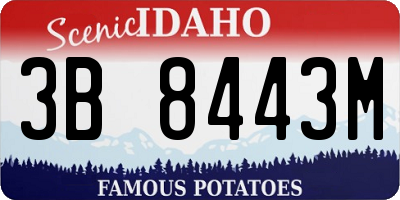 ID license plate 3B8443M
