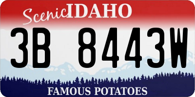 ID license plate 3B8443W