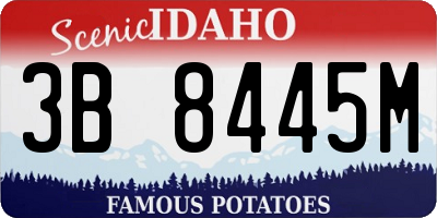 ID license plate 3B8445M