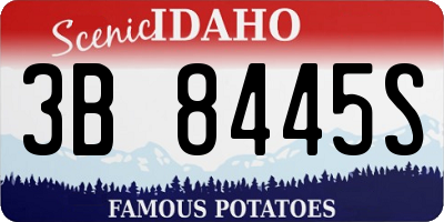 ID license plate 3B8445S