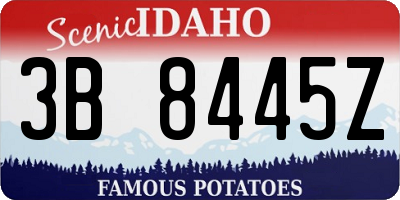 ID license plate 3B8445Z