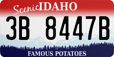 ID license plate 3B8447B