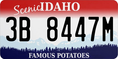 ID license plate 3B8447M