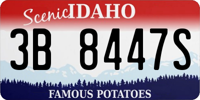 ID license plate 3B8447S