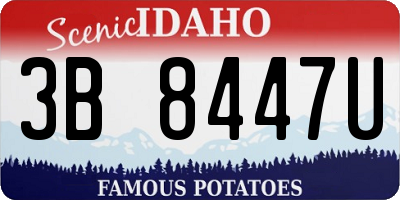 ID license plate 3B8447U