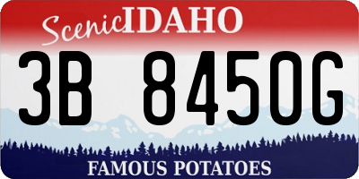 ID license plate 3B8450G