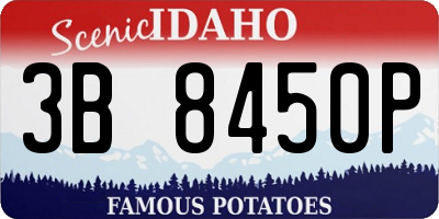 ID license plate 3B8450P