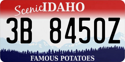 ID license plate 3B8450Z