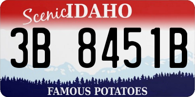 ID license plate 3B8451B