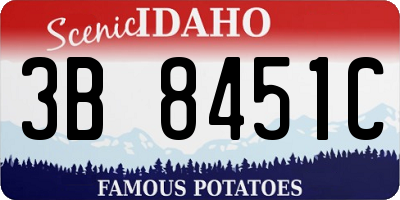 ID license plate 3B8451C