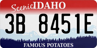 ID license plate 3B8451E