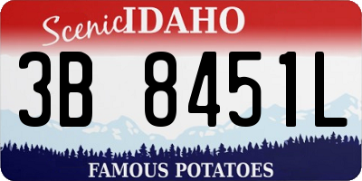 ID license plate 3B8451L