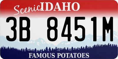 ID license plate 3B8451M