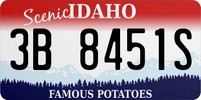 ID license plate 3B8451S