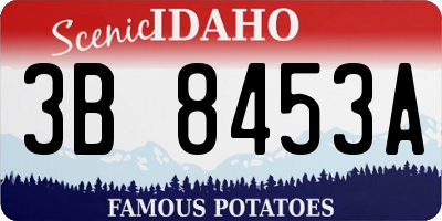 ID license plate 3B8453A