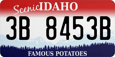ID license plate 3B8453B
