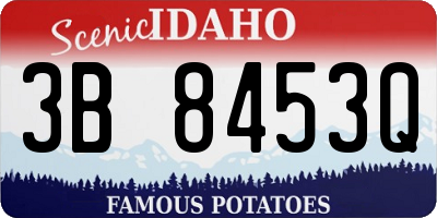 ID license plate 3B8453Q