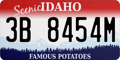 ID license plate 3B8454M