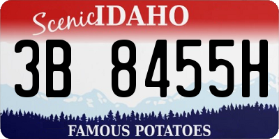 ID license plate 3B8455H
