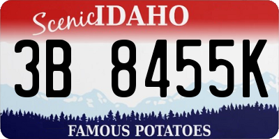 ID license plate 3B8455K