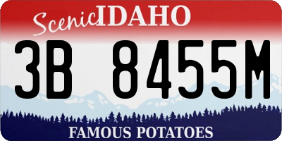 ID license plate 3B8455M
