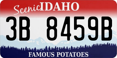 ID license plate 3B8459B