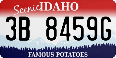 ID license plate 3B8459G