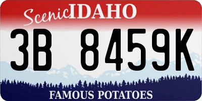 ID license plate 3B8459K