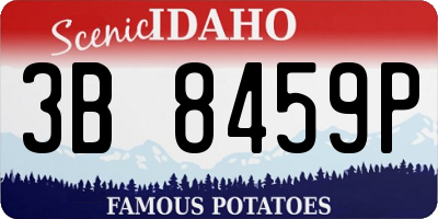 ID license plate 3B8459P