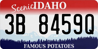 ID license plate 3B8459Q