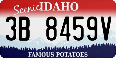 ID license plate 3B8459V