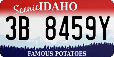 ID license plate 3B8459Y