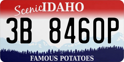 ID license plate 3B8460P
