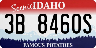 ID license plate 3B8460S