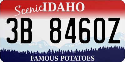 ID license plate 3B8460Z