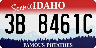 ID license plate 3B8461C