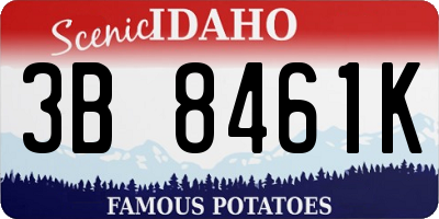 ID license plate 3B8461K