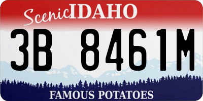 ID license plate 3B8461M