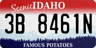 ID license plate 3B8461N