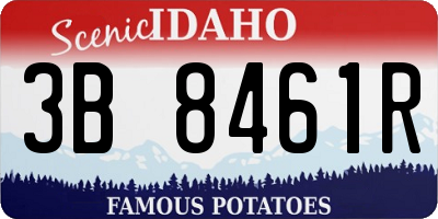 ID license plate 3B8461R