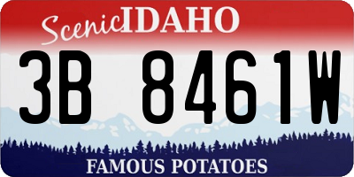 ID license plate 3B8461W