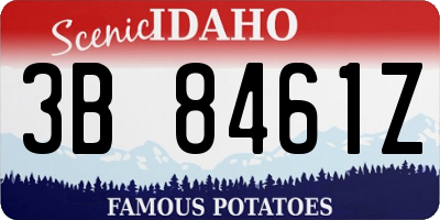 ID license plate 3B8461Z