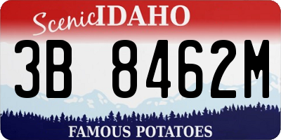 ID license plate 3B8462M