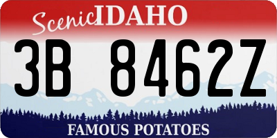 ID license plate 3B8462Z