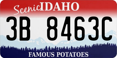 ID license plate 3B8463C