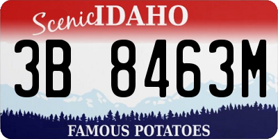 ID license plate 3B8463M