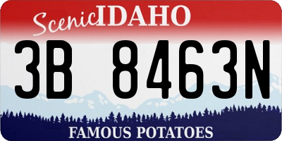 ID license plate 3B8463N